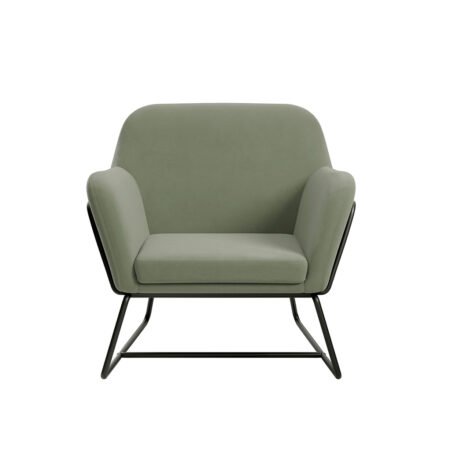 LPD Charles Sage Velvet Accent Chair