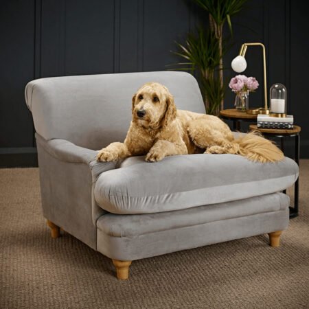 LPD Plumpton Grey Velvet Cuddle Chair